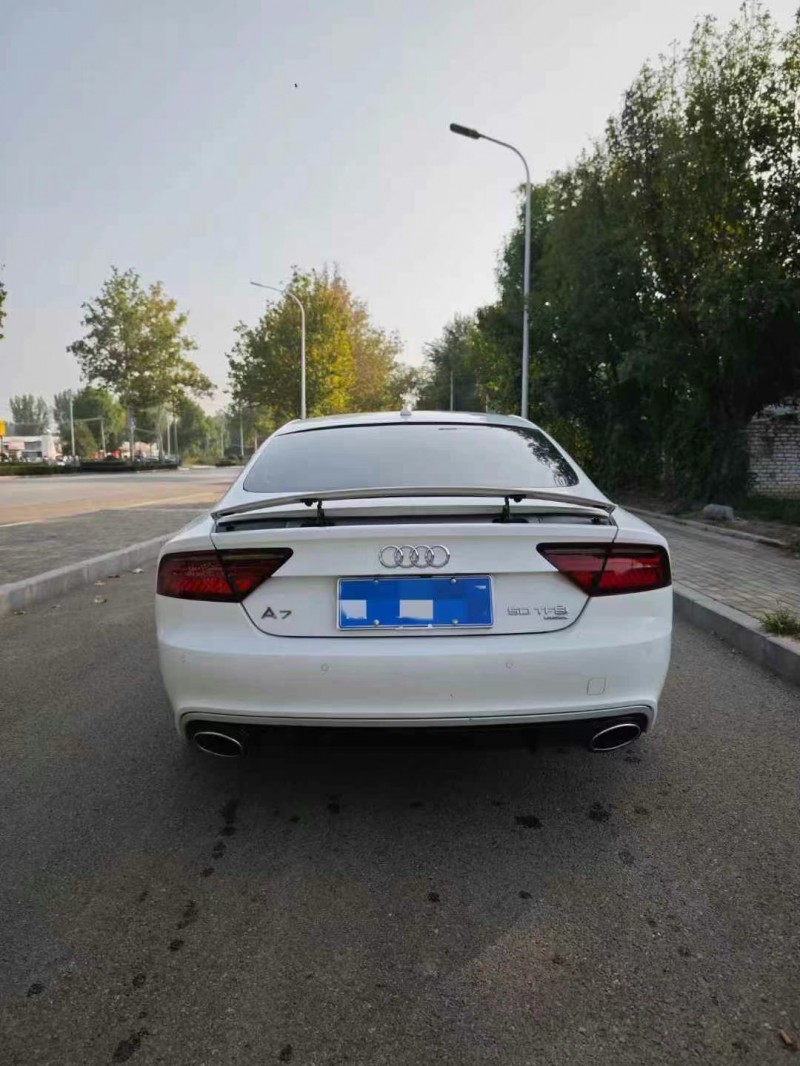 枣庄14年奥迪A7L9