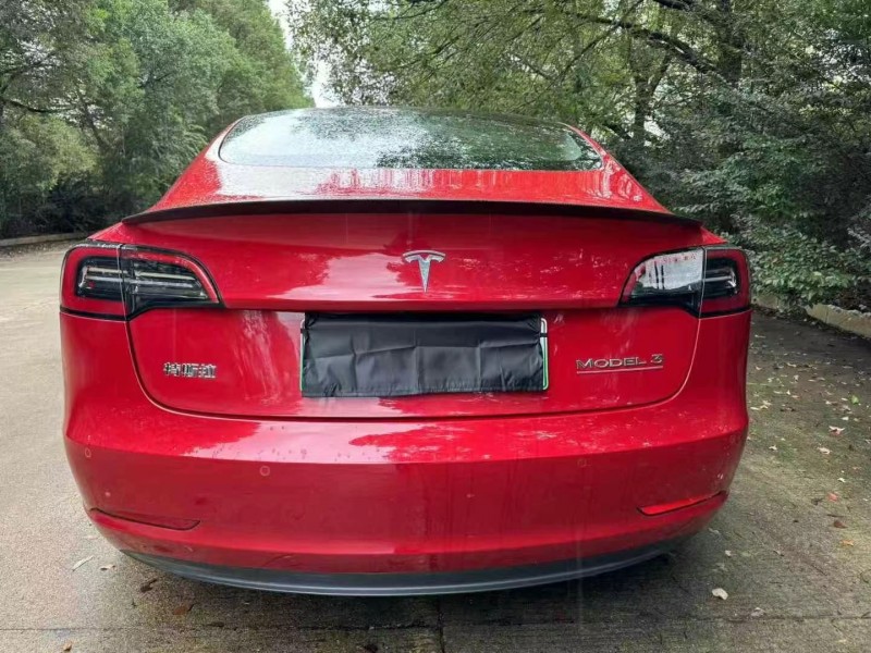 岳陽22年特斯拉MODEL 38