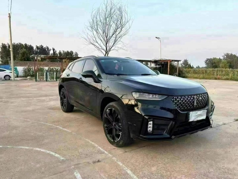 徐州20年長城汽車WEY VV73