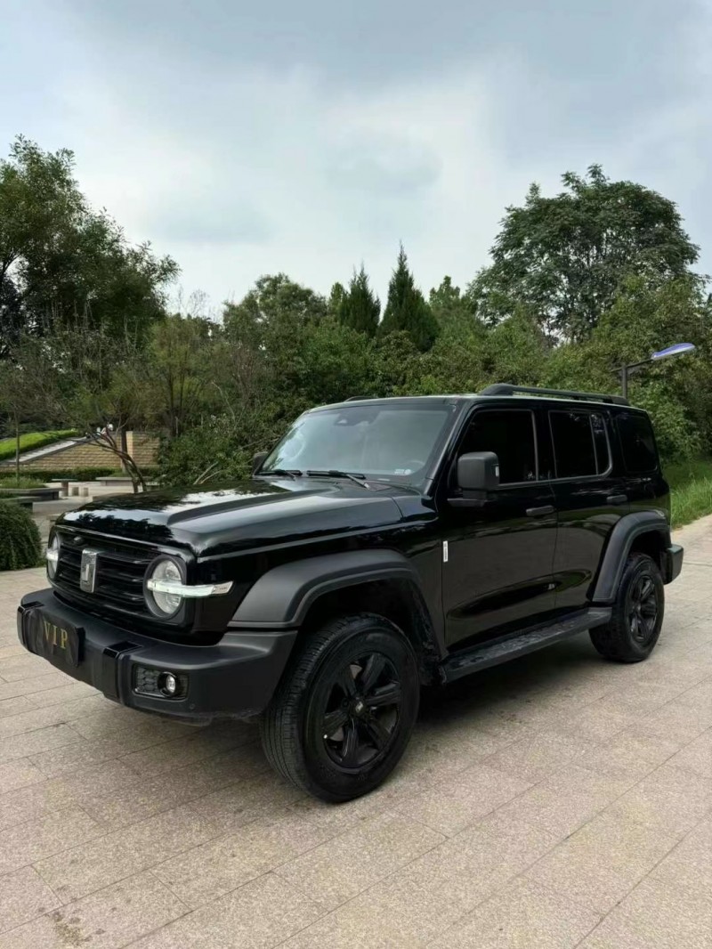 邢臺23年長城汽車坦克3002