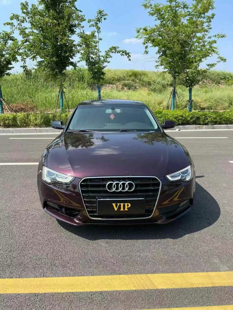 徐州14年奥迪A51