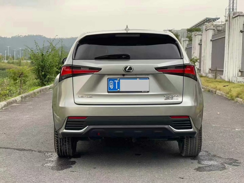 广州21年雷克萨斯NX9