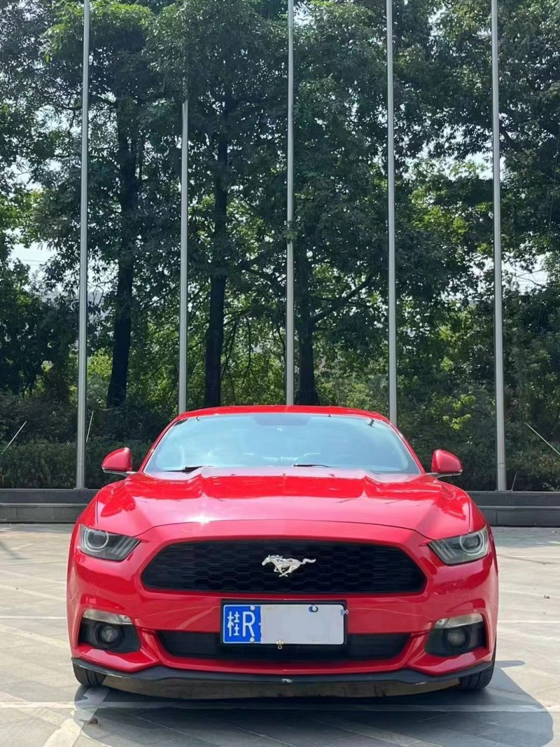 广州16年福特野马1