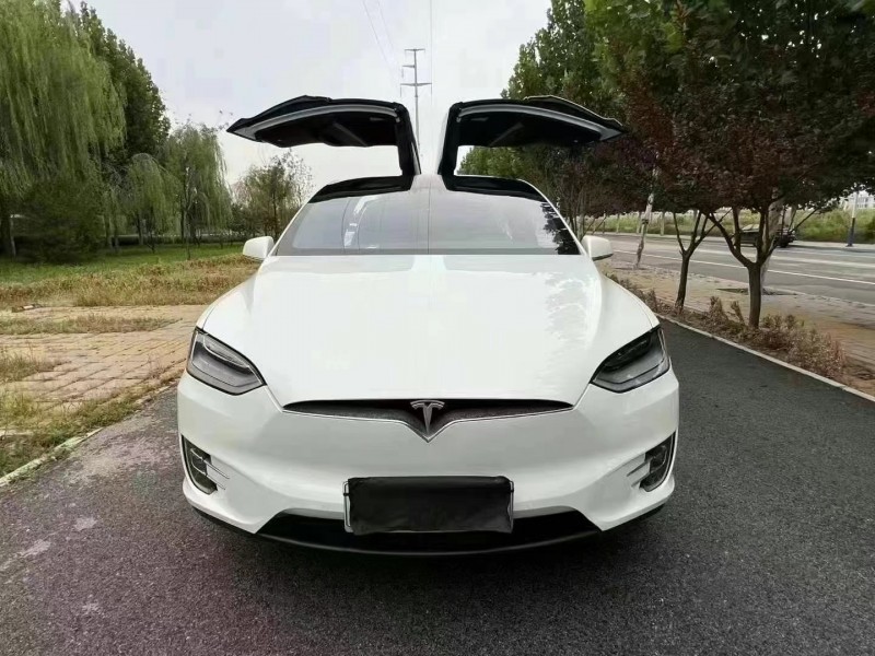 廊坊20年特斯拉MODEL X1