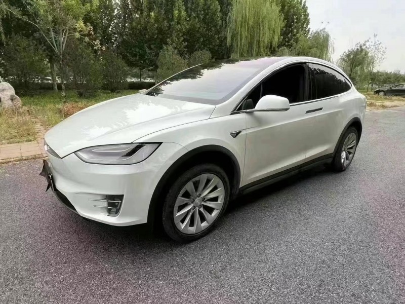 廊坊20年特斯拉MODEL X2