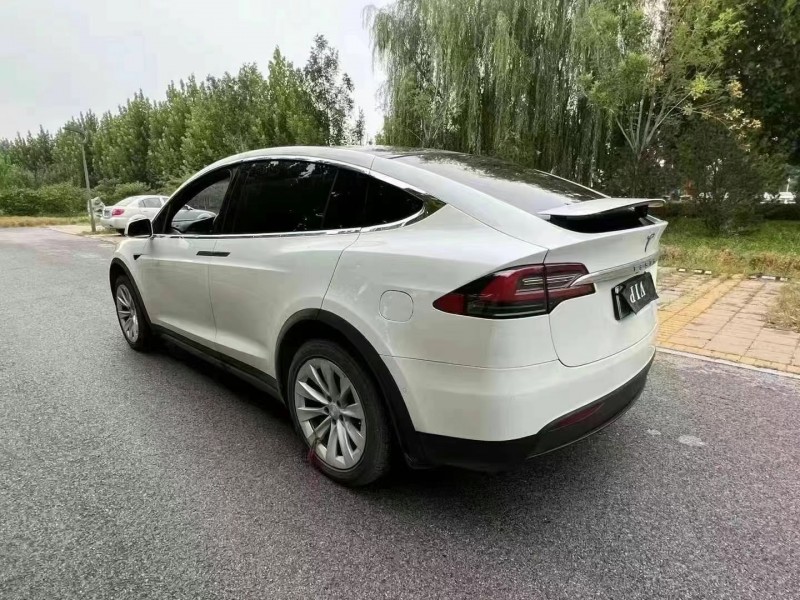 廊坊20年特斯拉MODEL X6