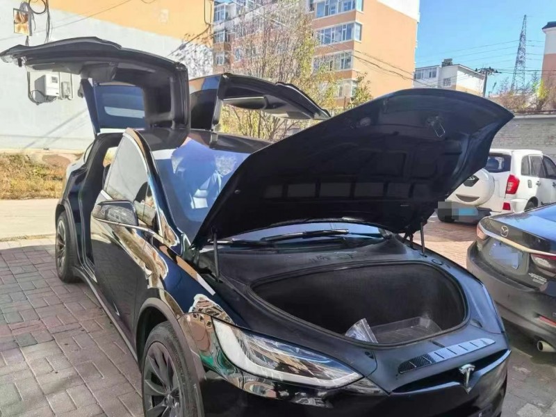 銅川19年特斯拉MODEL X5