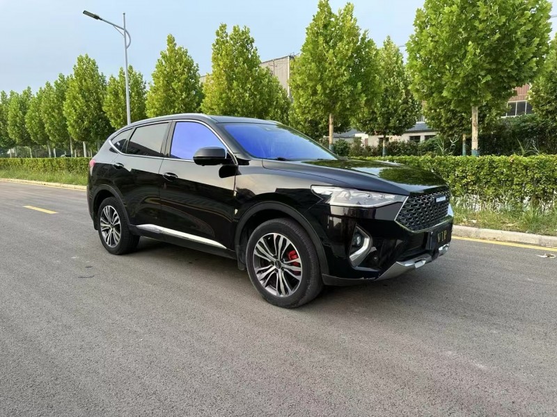 徐州20年哈弗F7x2