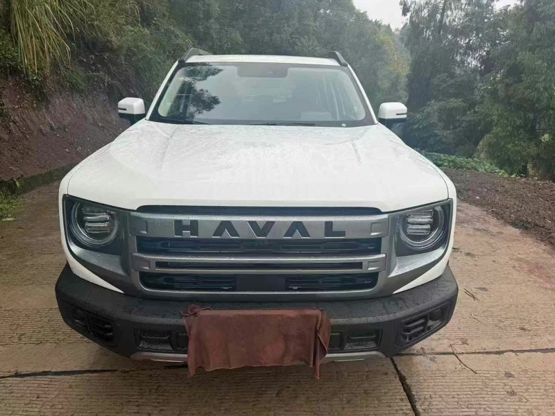 成都24年哈弗大狗1