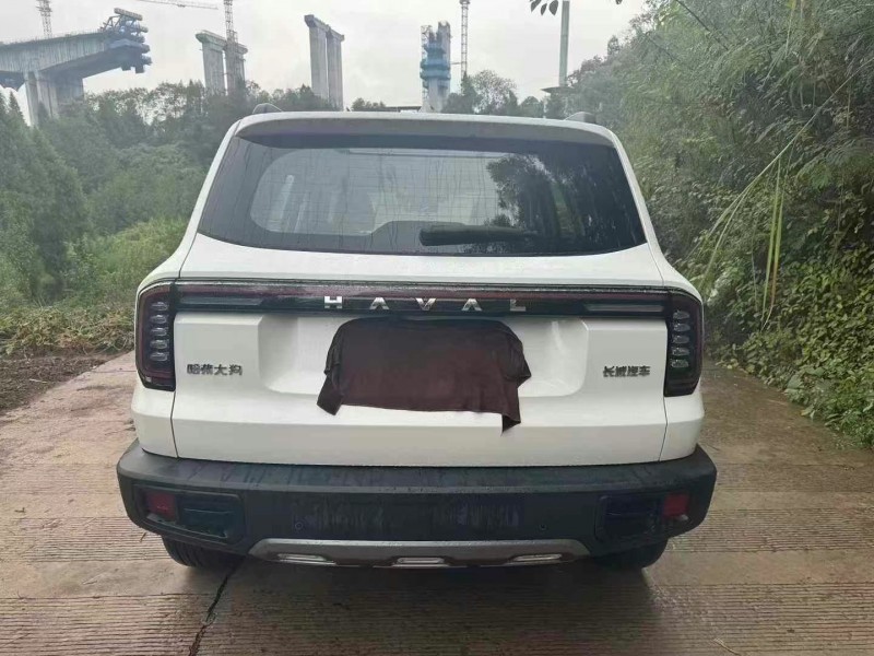 成都24年哈弗大狗9