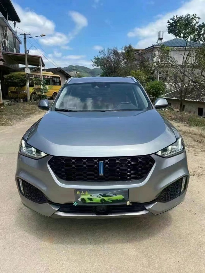 漳州19年長城汽車WEY VV61
