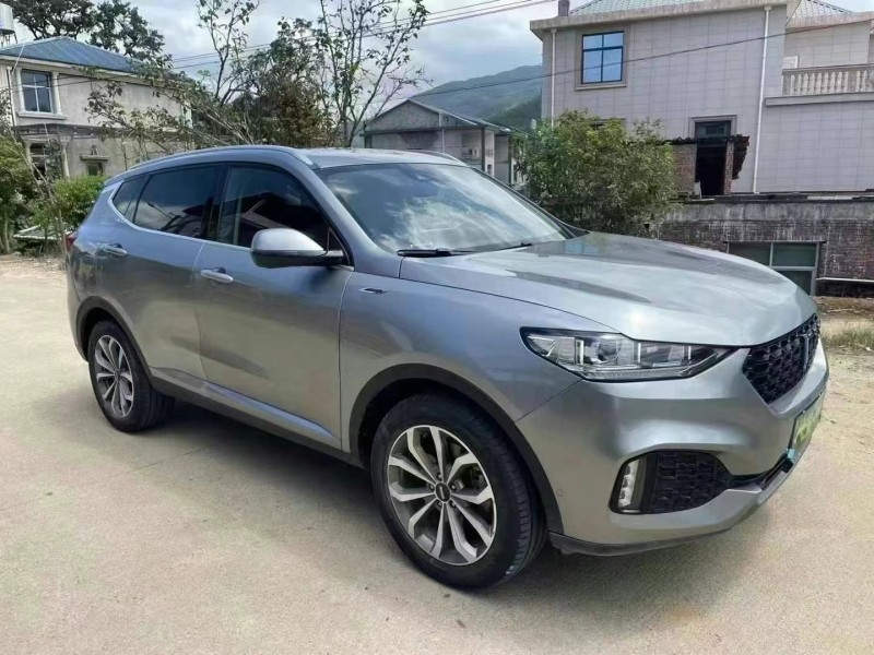 漳州19年長城汽車WEY VV62