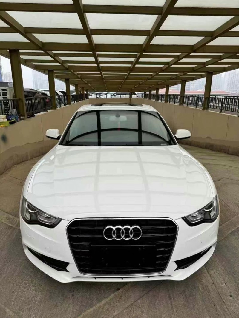 盐城13年奥迪A51