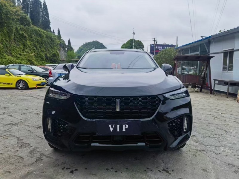 安順17年長城汽車WEY VV71