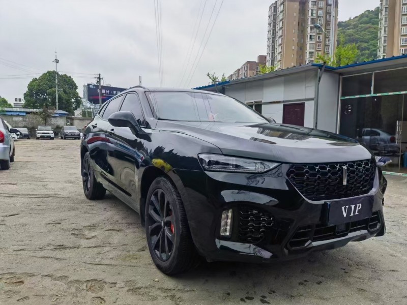 安順17年長城汽車WEY VV73