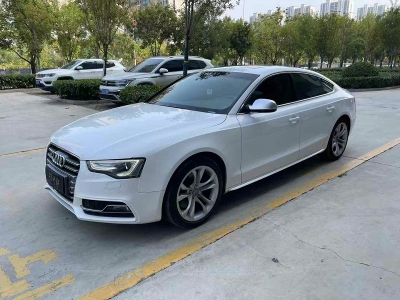 济宁14年奥迪S52