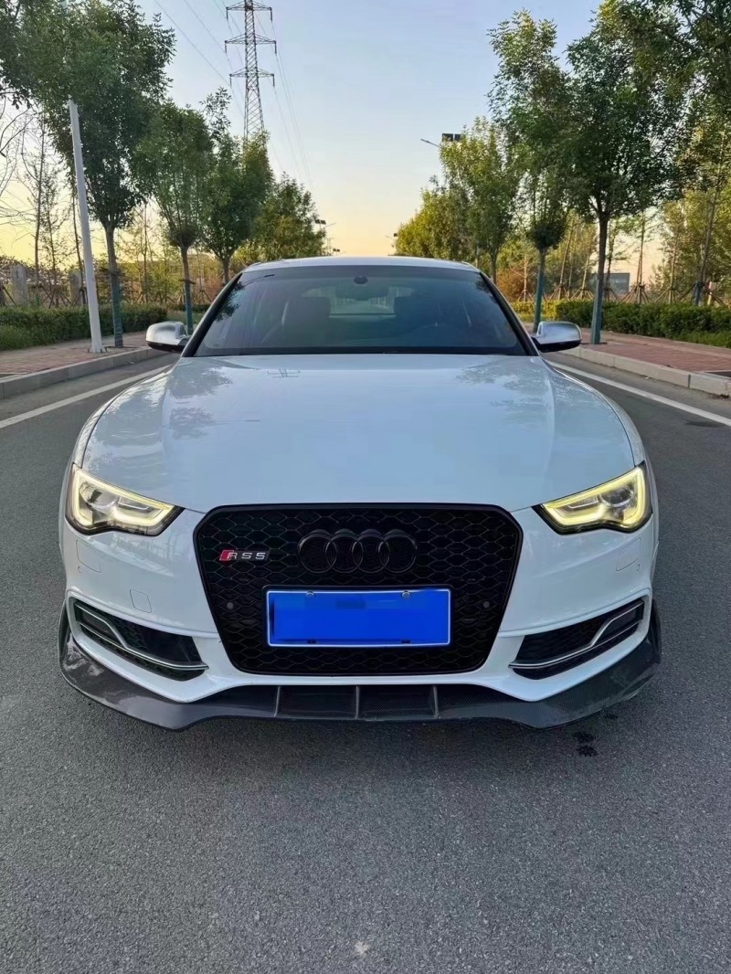 廊坊16年奥迪S51