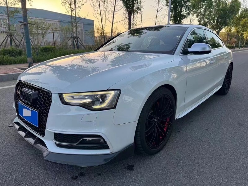 廊坊16年奥迪S52