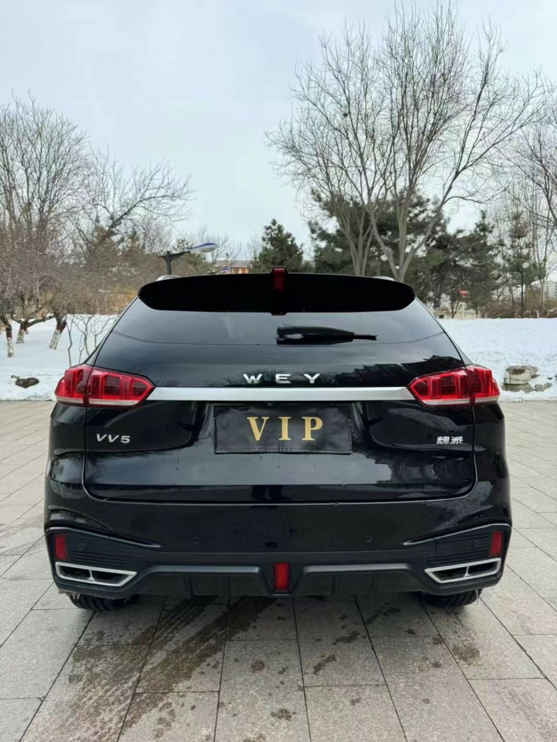 邢臺20年長城汽車WEY VV59