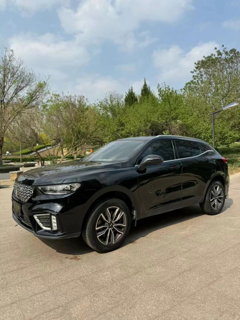 邢臺21年長城汽車WEY VV52