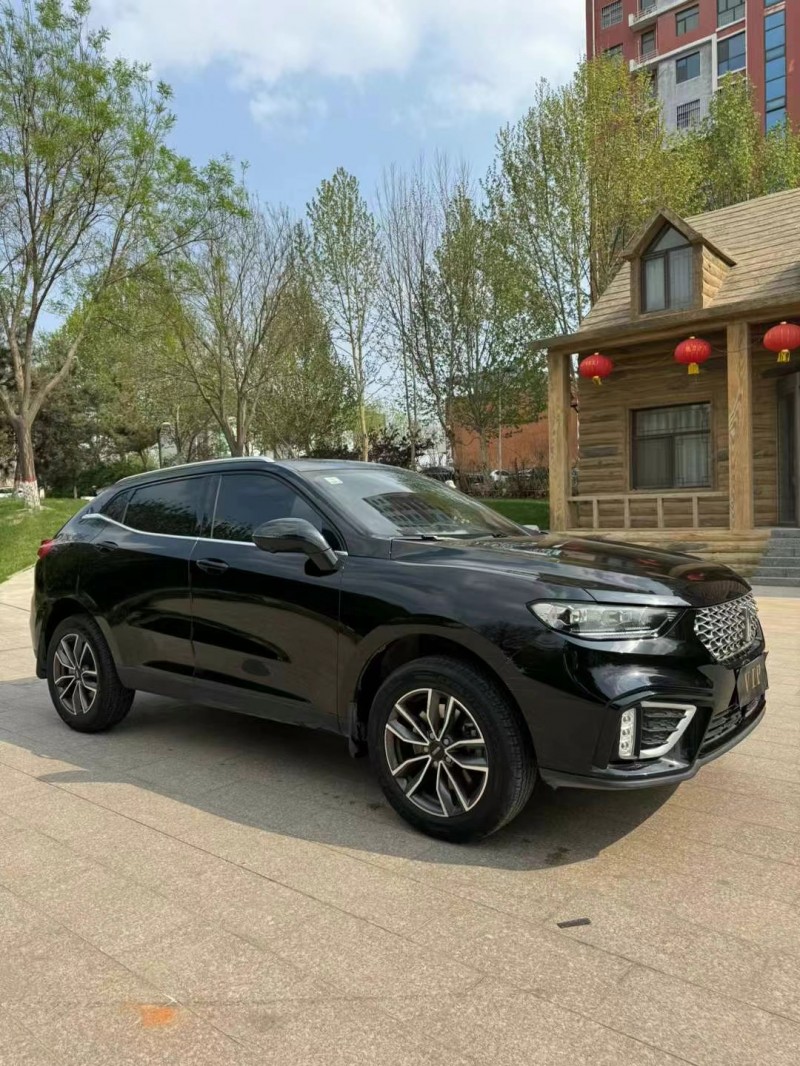 邢臺21年長城汽車WEY VV57