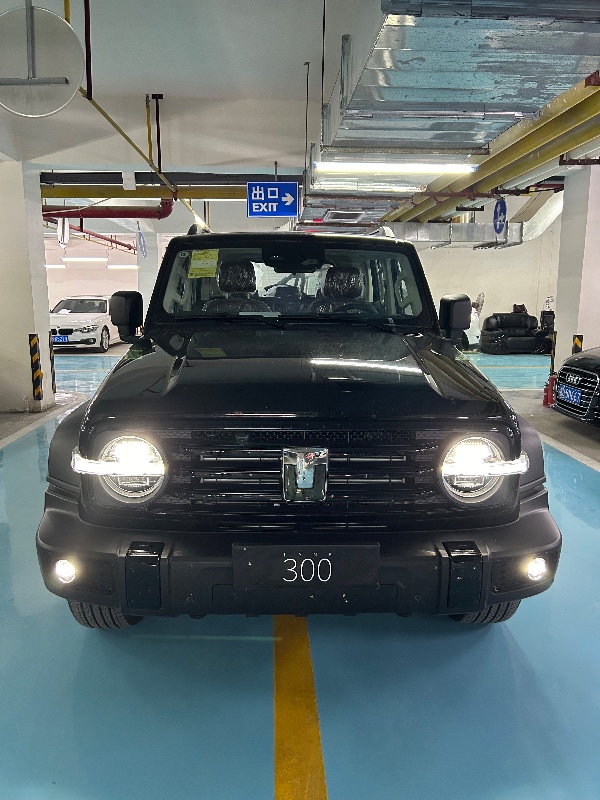襄陽24年長城汽車坦克3001