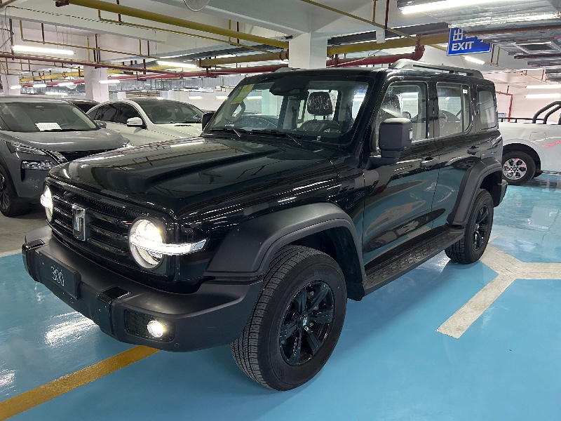 襄陽24年長城汽車坦克3003