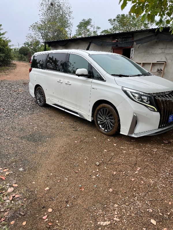 鄂州21年傳祺M810