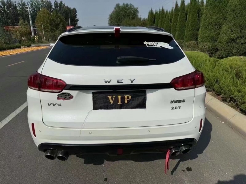 泰安18年長城汽車WEY VV56