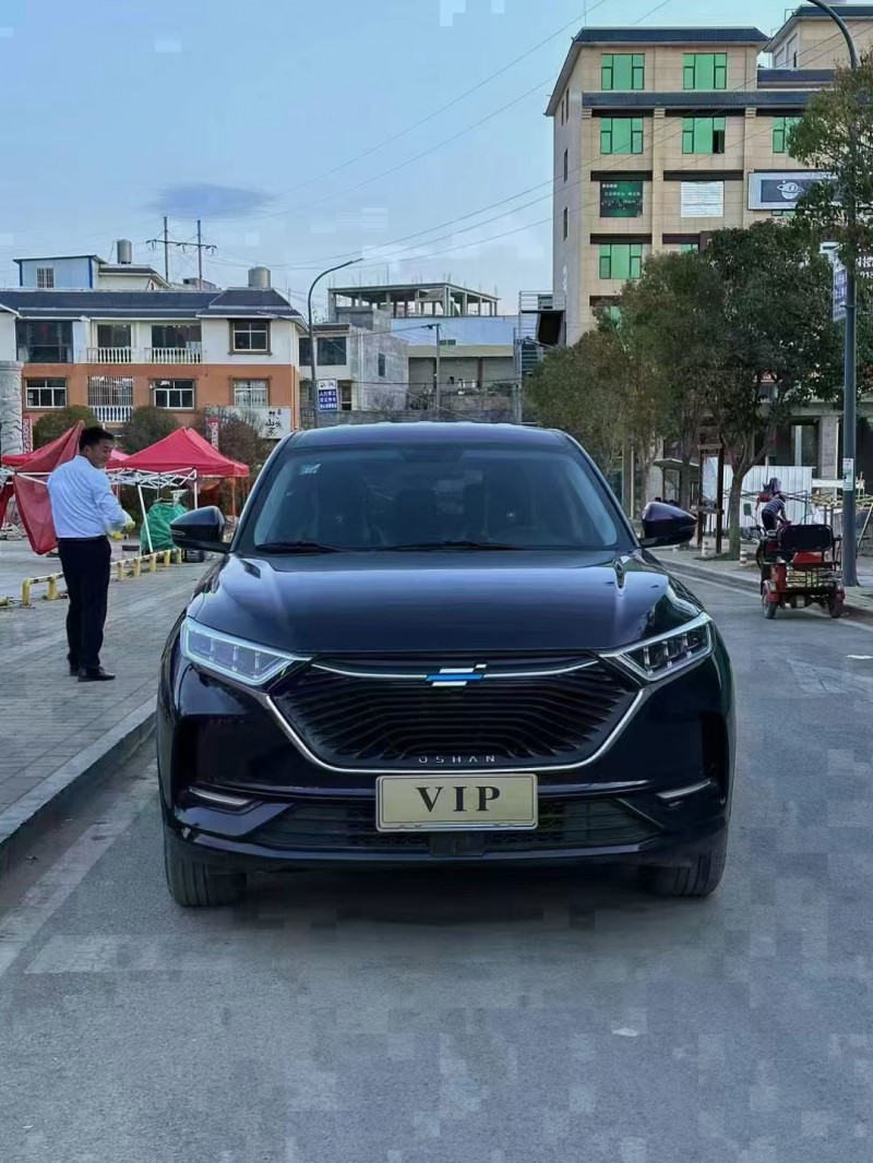 銅仁20年長安汽車歐尚1
