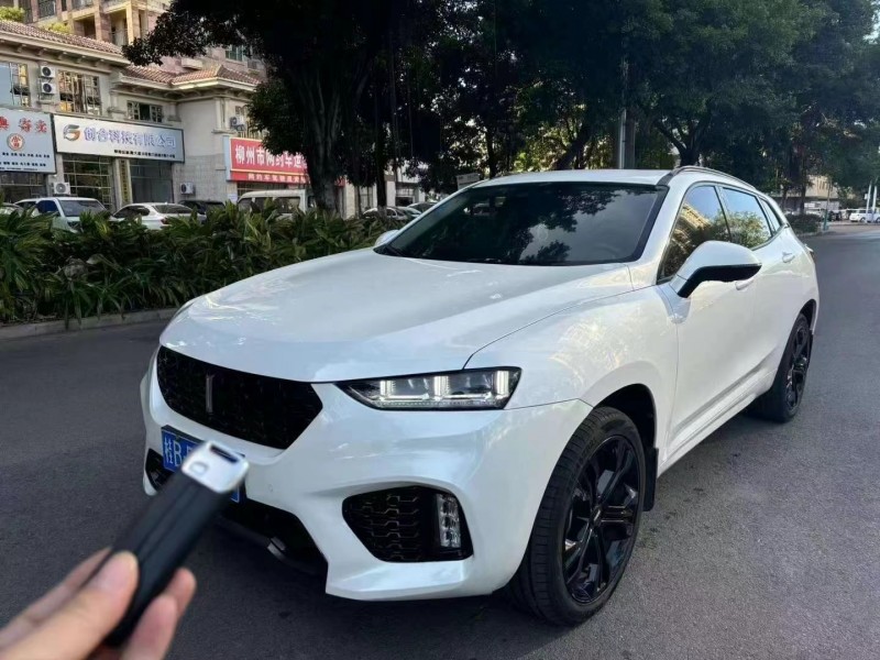南寧18年長城汽車WEY VV72