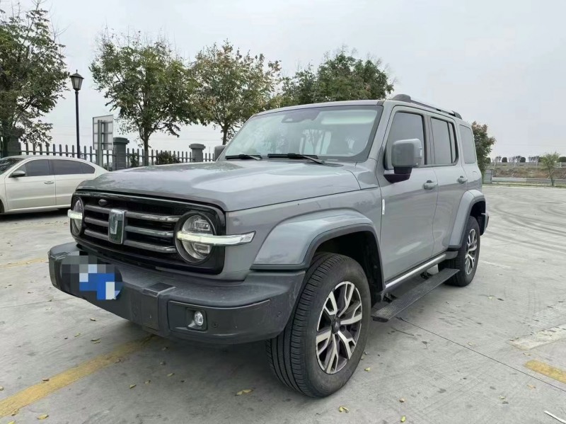 濰坊22年長城汽車坦克3002