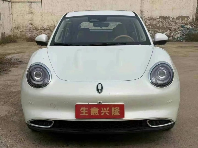 鶴壁24年長城汽車歐拉1