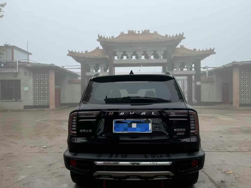 保定21年哈弗大狗9