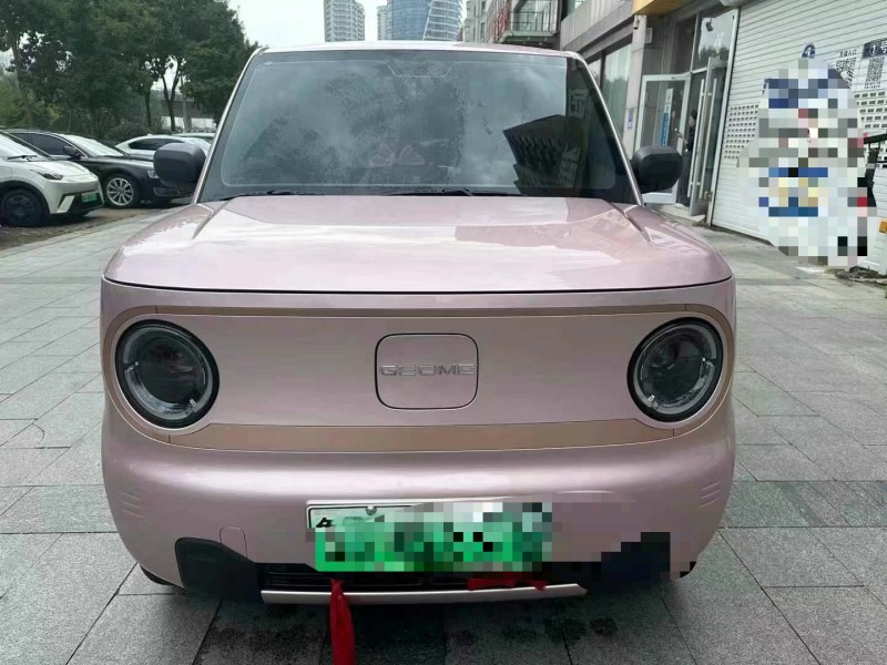 臨沂24年吉利熊貓1