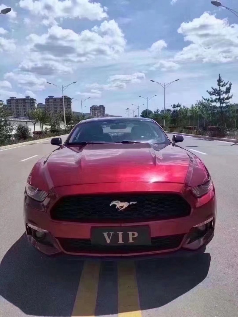 济宁17年福特野马1