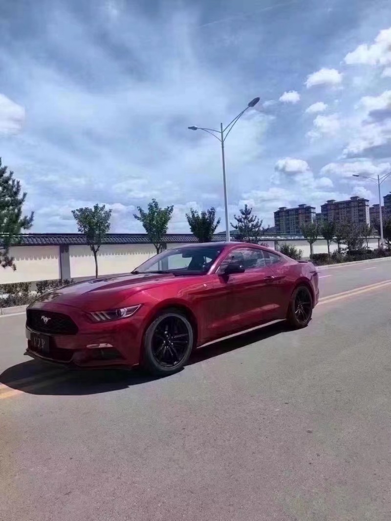 济宁17年福特野马9