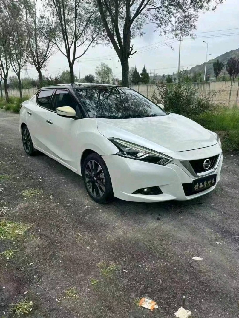 平涼18年日產藍鳥2