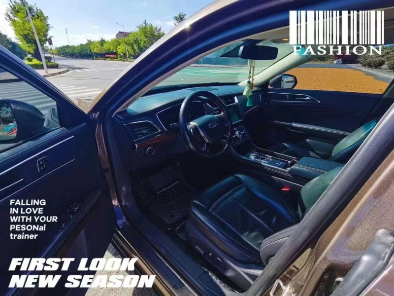 济宁16年福特金牛座7