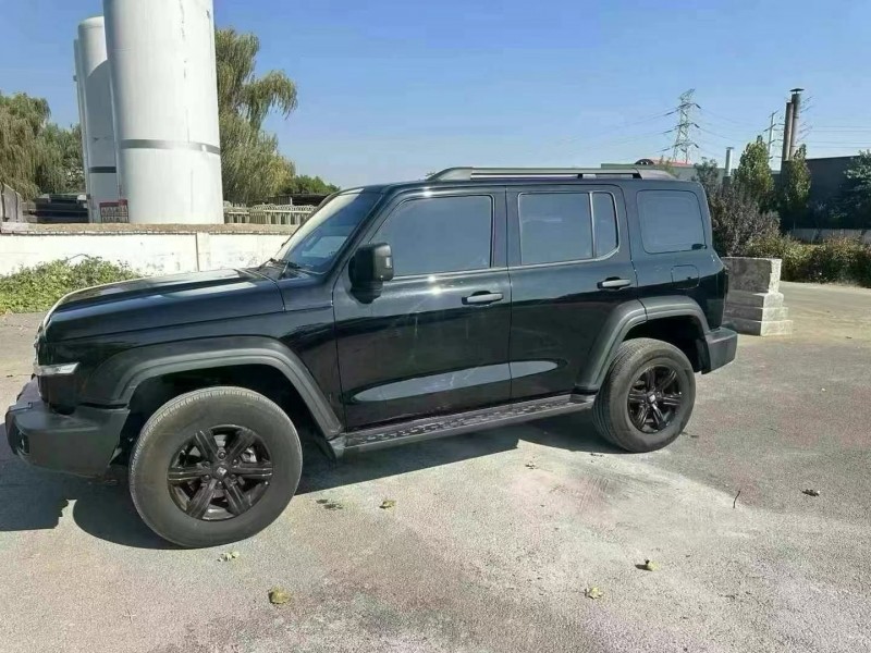 威海23年長城汽車坦克3004