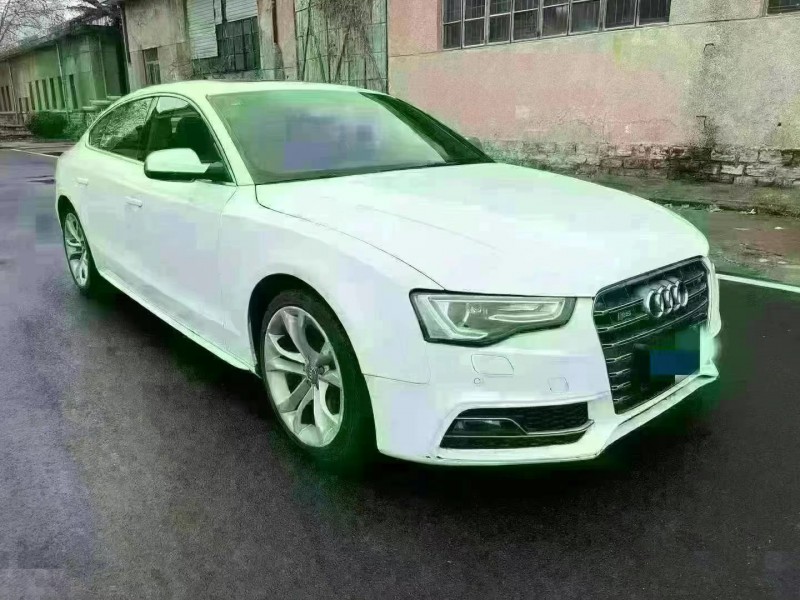 枣庄15年奥迪S52