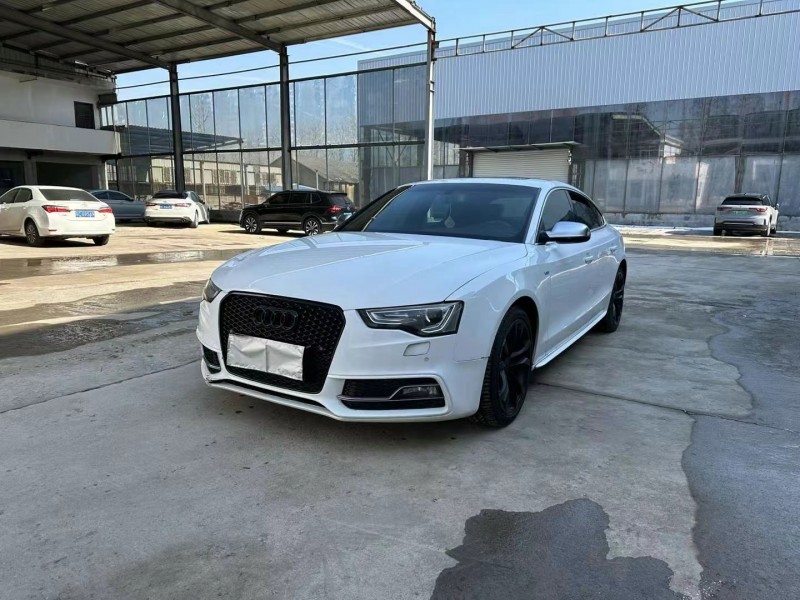 徐州14年奥迪S52