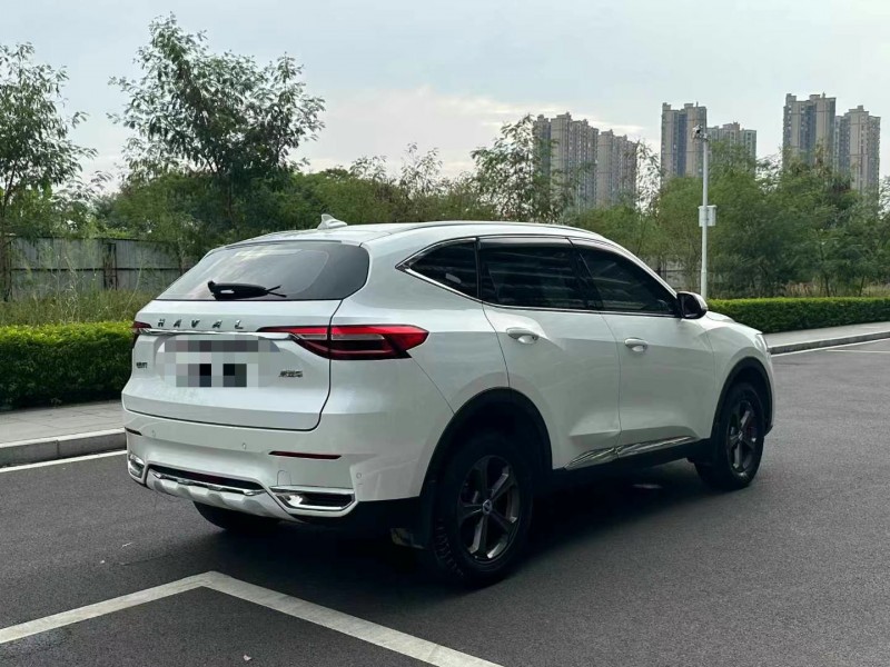 东莞20年哈弗F7x7