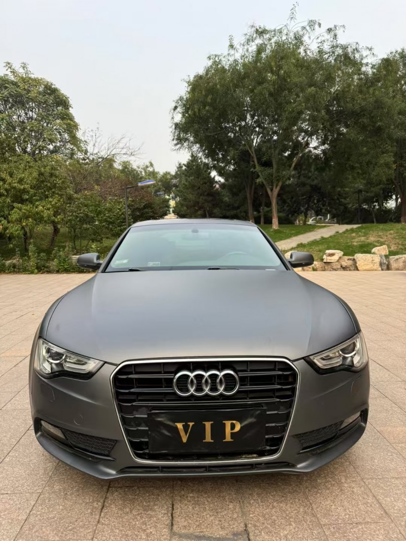 邢台13年奥迪A51