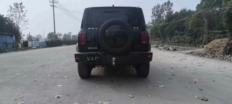 黃山21年長城汽車坦克3002