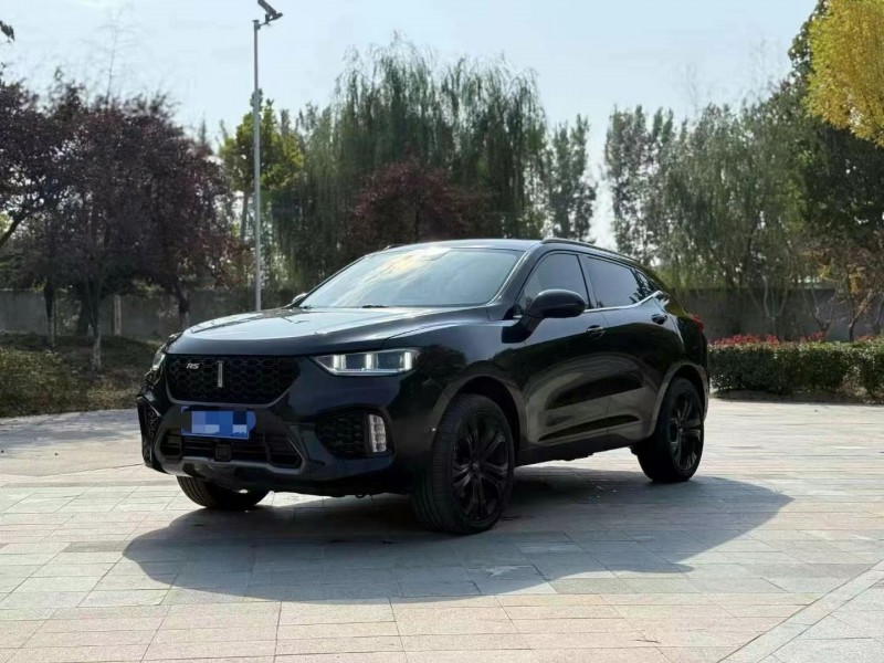 泰安18年長城汽車WEY VV58