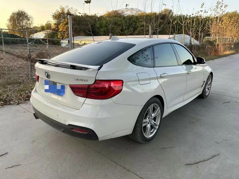 泰安19年寶馬3系GT4
