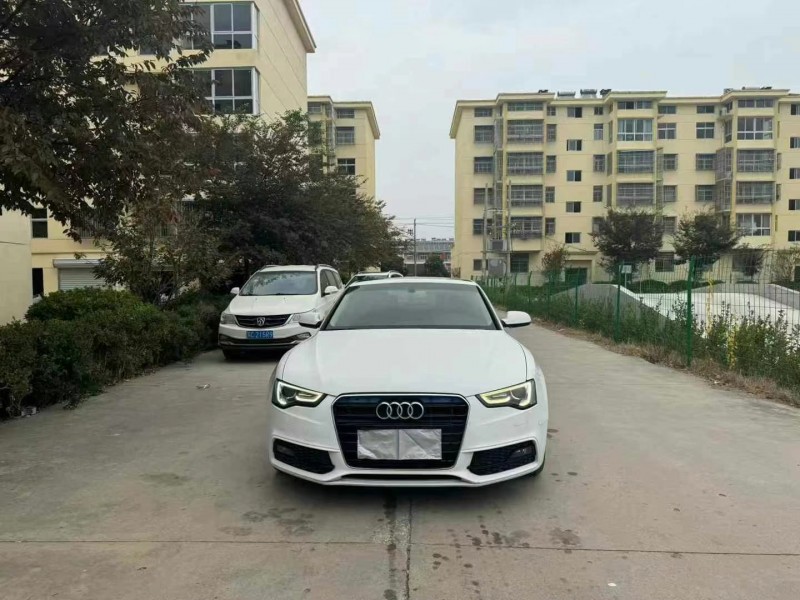 徐州13年奥迪A51