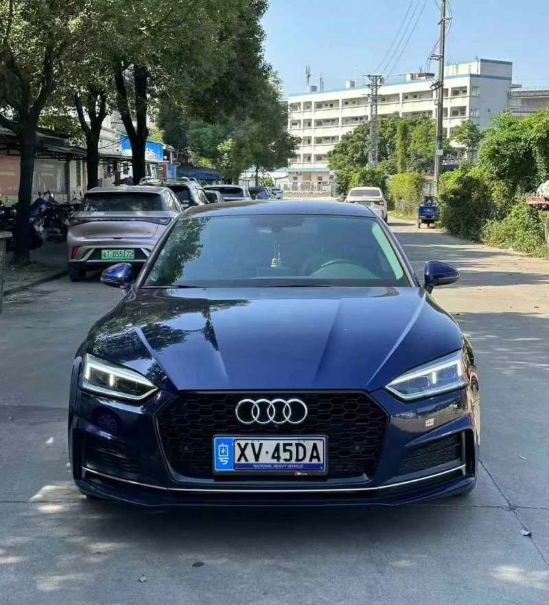 广州20年奥迪A51