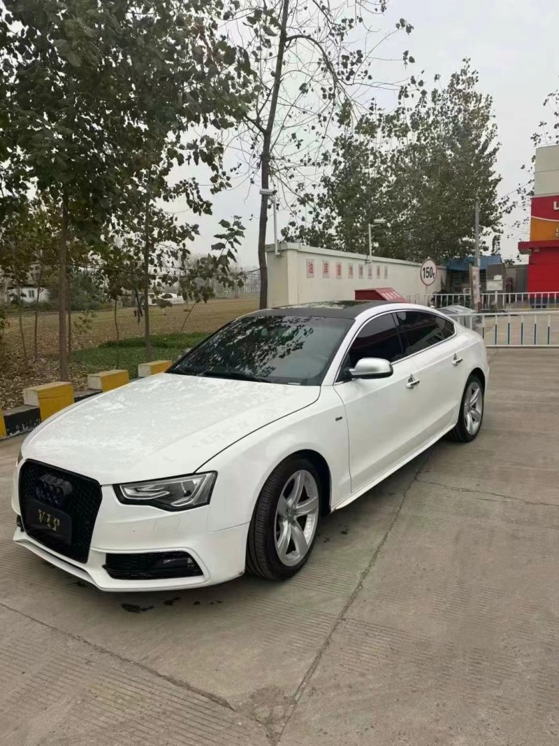 廊坊16年奥迪A54